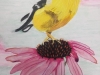 colored pencil bird