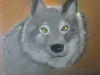 Pastel of Wolf, 6th Grade