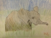 Elephant by Mia 5th Grade