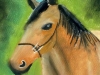 Pastel Horse by Julia