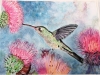 watercolor humming bird