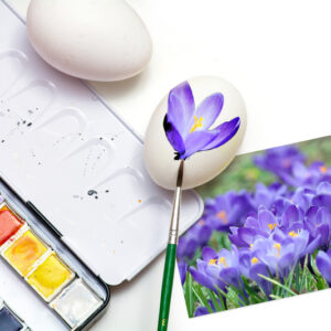 Spring Fling Art Camp 2026 Ages 7+ April 6 to April 9