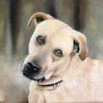 Pastel Portrait by Lisa Young