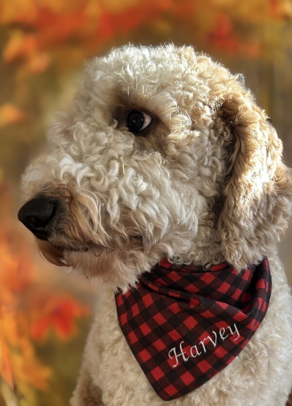 Flannel Dog Bandana Customized and Reversible with Name on Both Sides